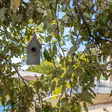 منزل ريفي 2m